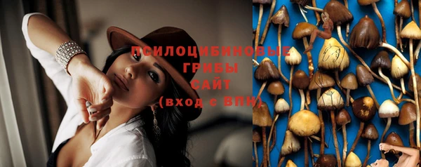 сатива Балабаново