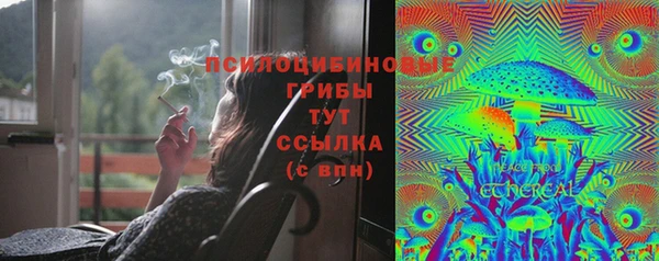 гидропоника Аркадак