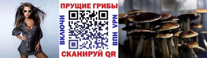 Галлюциногенные грибы GOLDEN TEACHER  хочу   Кирово-Чепецк 