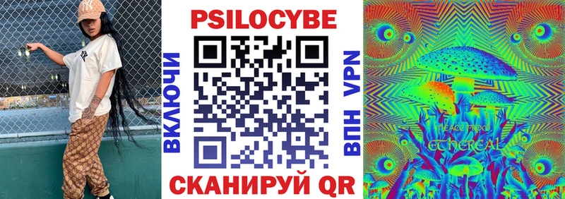 Галлюциногенные грибы Psilocybe Кирово-Чепецк